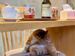 -青莯_Percher Coffee Shop(皮市街店)