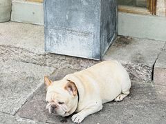 -东钱湖旅游度假区