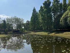 -同里国家湿地公园
