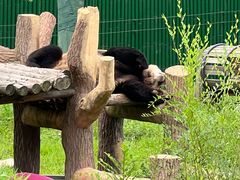 -沈阳森林动物园