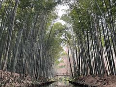 -同里国家湿地公园