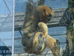 -宁波野生动物园