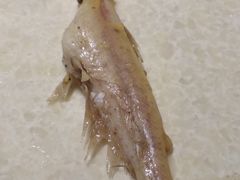 -香坝坝鲜鱼火锅(春熙路店)