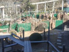 -大连森林动物园熊猫馆纪念品商店