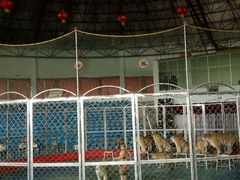 -西安秦岭野生动物园