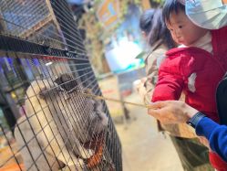 -酷嗒动物文化乐园(cutezoo西溪乐天城店)