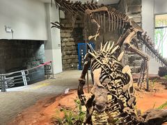 -自贡恐龙博物馆