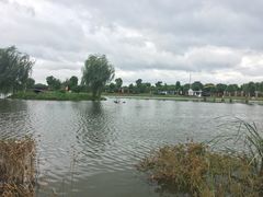 -明珠湖天鹅苑·农家菜馆