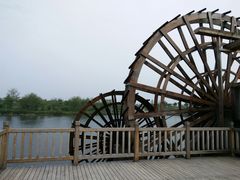 -杭州湾海上花田景区