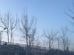 -南宫五洲植物乐园