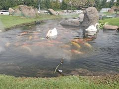 -罗红摄影艺术馆