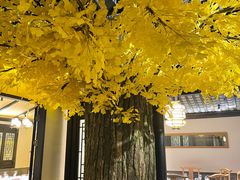-江南韵·无锡太湖文化体验餐厅(凤凰天街店)