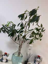 -美肤盾祛痘·问题肌头疗管理中心