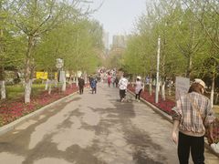 -长白岛森林公园