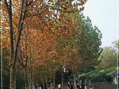 -合肥野生动物园