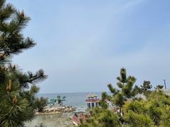 -海岛日记(养马岛店)