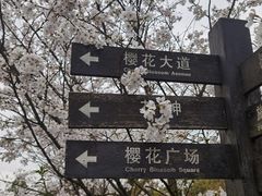 -南山植物园