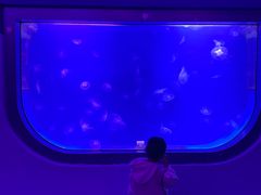 -福州罗源湾海洋世界旅游区