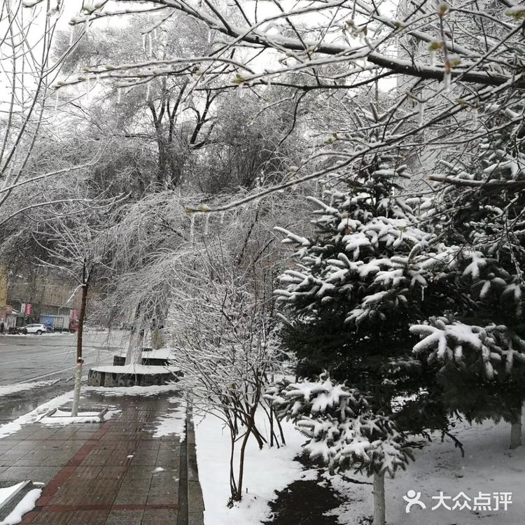 可是北方的黑龙江竟然多日大雪