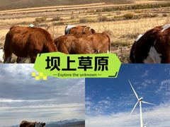 -张北坝上草原