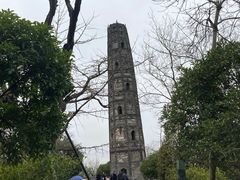 -上海佘山国家森林公园天马山园