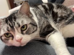 -新梅居(宁海东路店)