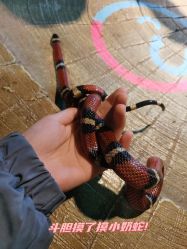 -酷嗒动物文化乐园(cutezoo西溪乐天城店)