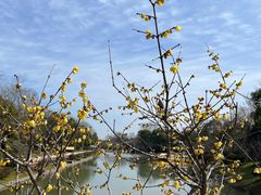 -上海海湾国家森林公园