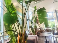 -莫内艺术岛海景咖啡