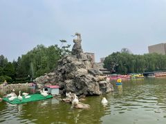 -团结湖公园
