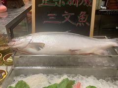 -索菲特酒店 · 云尚天际自助餐厅
