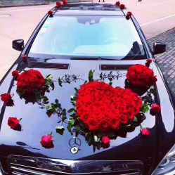 -蚂蚁婚车