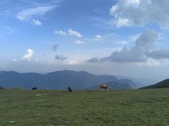 -灵山