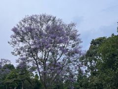 -眉山湿地公园(东坡区)