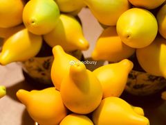 -天河体育中心