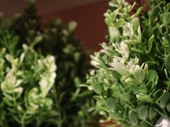 -宜家家居(高新商场店)