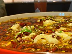 龙胆石斑鱼-滋色臻选川菜(北京坊旗舰店)