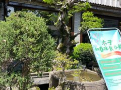 -木子山庄·安徽省老字号·中国炖锅宴