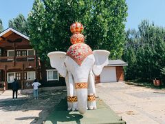 -永定河休闲森林公园