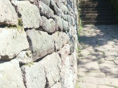 -哲学家之路徒步游(Philosophenweg)