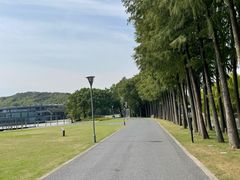 -上海月湖雕塑公园