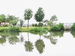 -鹅湖玫瑰文化园
