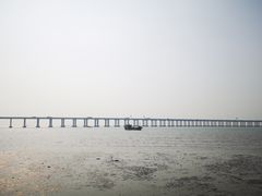 -宝安西湾红树林湿地公园