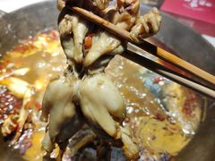 牛蛙-老天桥蛙炉火锅(姑苏总店)