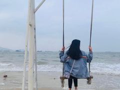 -汕尾风车岛