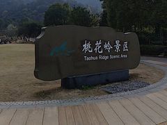 -桃花岭景区