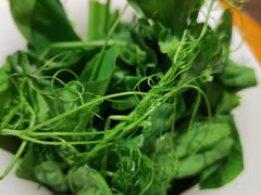 -海底捞火锅(万象城店)