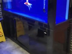 -吕宋海鲜楼