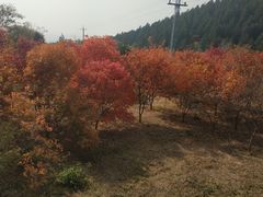 -北京十三陵国家森林公园蟒山景区