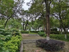 -飞来湖湿地公园